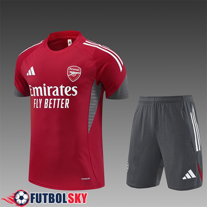 Camiseta Entrenamiento Arsenal Ninos Rojo/Gris 2025/2026