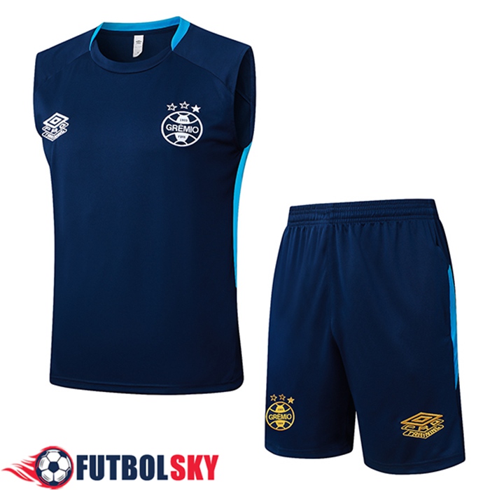 Camiseta Entrenamiento sin mangas Gremio azul real 2025/2026
