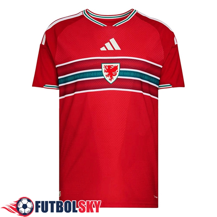 Nueva Camiseta Equipo Nacional Gales Primera 2026/2027
