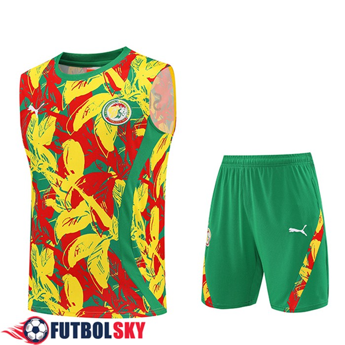 Camiseta Entrenamiento sin mangas Senegal Amarillo/Rojo/Verde 2025/2026
