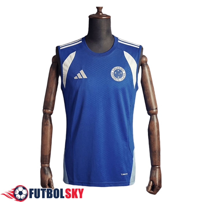 Chalecos De Futbol Cruzeiro Azul/Blanco 2025/2026