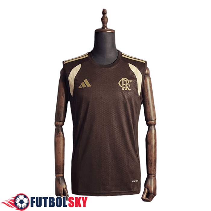 Chalecos De Futbol Flamengo Marrón/Beige 2025/2026
