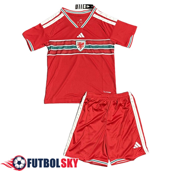 Camisetas De Futbol Gales Ninos Hombre 2026/2027