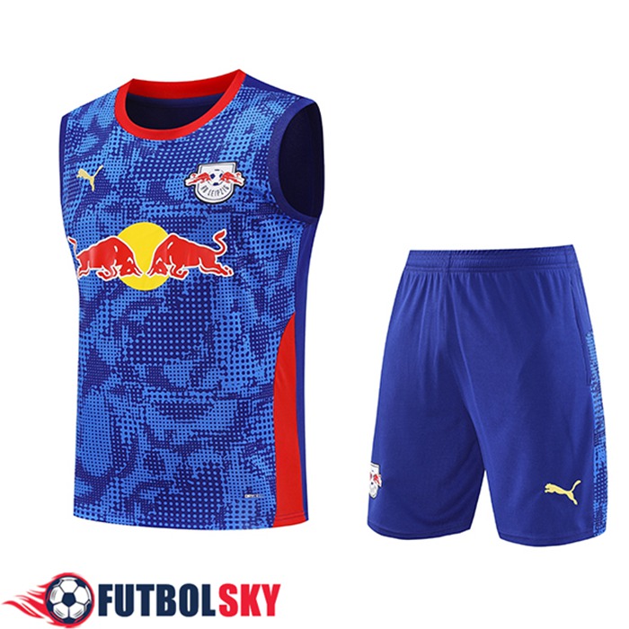 Camiseta Entrenamiento sin mangas New York Red Bulls Azul/Rojo 2026/2027