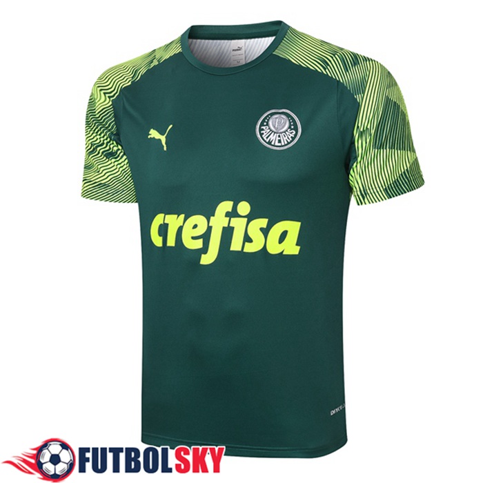 Camiseta Entrenamiento Palmeiras Verde 2020/2021